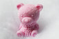Teddy Bear Soap