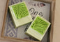 Monstera Leaf  Handmade Soap