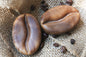 Coffee Bean Handmade Soap